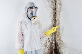 Best Residential Mold Inspection & Testing  in Hempstead, TX